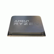AMD Ryzen 4300G processeur 3,8 GHz 4 Mo L3 Boîte