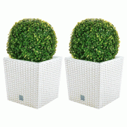 WellHome - Lot de 2 jardinières 32 L Rato Low en coloris blanc avec boule de buis de 36 cm - blanc plastique PK3927
