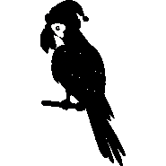Sticker le perroquet et son bonnet
