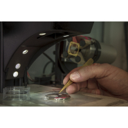 Prestation de marquage, soudure laser, micro-découpe ou perçage sur diverses matières - LASER CHEVAL Prestation de marquage, soudure laser, micro-découpe ou perçage sur diverses matières - LASER CHEVAL