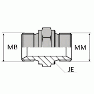 Adaptateur droit mâle BSP pour bague BS x mâle DIN forme E - MBSPCT1/4 / MD12X150 JE - Avec joint encastré