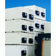 Container frigorifique reefer 10 pieds