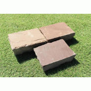 Pavé de grès multicolor 20 x 14 cm - Épaisseur 5/7 cm - 30 unités par m²