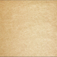 Pronappe - Réf.324040I - Carton de 2000 Sets de table en papier lisse 60g/m2 effet nature  - 30 x 40 cm - 4 barquettes de 500 sets Kraft - marron pap