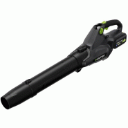 Souffleur à batterie SBL4650 avec batterie et chargeur - FRANCEPOWER - 03750