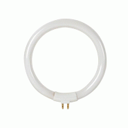 Velleman Tube fluorescent T4 12 W, blanc froid 6500 K, ampoule circulaire de rechange pour lampe loupe VTLAMP8, 720 lm - LAMP22/8