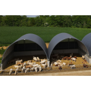 Bâtiment pour bovin à viande économique, simple et évolutif - Tunnel d'élevage TOUTABRI Bâtiment pour bovin à viande économique, simple et évolutif - Tunnel d'élevage TOUTABRI
