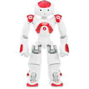 Robot d'assistance à la personne, idéal pour les ergothérapeutes, psychomotriciens, infirmiers, aides-soignante, psychologues et  animateurs en EHPAD - ZORA