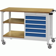 Établi l.1200xP540xH880 mm hêtre Multiplex gris clair/bleu de sécurité 5 tiroirs Établi l.1200xP540xH880 mm hêtre Multiplex gris clair/bleu de sécurité 5 tiroirs