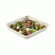 Assiette carrée bagasse blanche 19,2x3,5cm - par 500