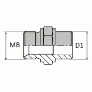 Adaptateur droit mâle BSP - extrémité à souder bout à bout - non zingué - BMSBW00414
