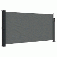 VidaXL Store latéral rétractable Anthracite 100x300 cm Modèle Alizé Design - 4004278