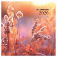 Quo Vadis - Calendrier à feuillets - Spiralé - 2026 - Français - Fantaisie - Multicolore - 12 mois de janvier à décembre - 30x30 cm - 238518Q
