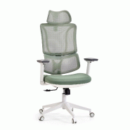 Chaise de bureau / chaise pivotante ERGOMY W Assise en tissu / dossier en tissu maillé vert mybuero - vert polyester 719263 Chaise de bureau / chaise pivotante ERGOMY W Assise en tissu / dossier en tissu maillé vert mybuero - vert polyester 719263