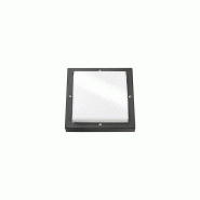 Applique murale intérieur et extérieur bassi  graphite  e27 classe i ip65 - SG LIGHTING