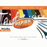 Pochette de 12 feuilles papier dessin 160g couleur format 24x32 cm teintes vives assorties