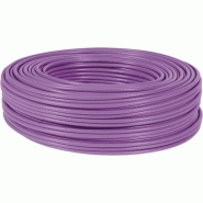 Dexlan câble double monobrin f/utp cat6 violet ls0h rpc eca - 100 m 613034