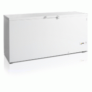 Congélateur de crème glacée - 557 L | Tefcold - FR605SL