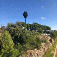 Pylônes arbres réalistes - Pin - 12m à 30m - Tronc en résine brune
