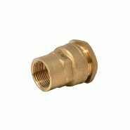 Raccord Laiton Femelle - à Compression Pn16 Pour Tuyau Pe ø25 X 3/4''