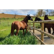 Clôture bois standard pour chevaux - horse stop - 3 demi-lices, 1m50 - ref. B12225-3