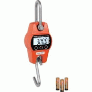 Steinberg Systems - Steinberg Crochet Peseur Balance à Grue Professionnelle Rouge SBS-KW-300/100-O (300 kg / 100 g, kg/lbs/N, structure en aluminium