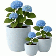CLP Set de 3 bacs à plantes ronds 1 Gris - gris 326436 CLP Set de 3 bacs à plantes ronds 1 Gris - gris 326436