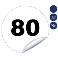 Disques adhésifs classe 1 de limitation de vitesse - DSQ1BC-NV01/AD80_0