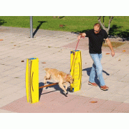 Saut en hauteur edu can agility parcours canin