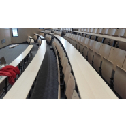 Fauteuil  d'amphithéâtre à piétement latéral avec assise et dossier ergonomique, tablette en contre-plaquéhêtre - NEWTON_1