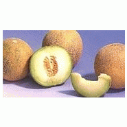 Melons du val de loire