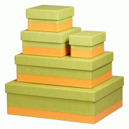 Set de 5 boîtes gigognes Rhodiarama, finition simili cuir italien, coloris anis - vert 318886C