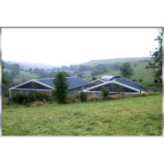 Charpente métallique pour l'élevage de veaux de boucherie