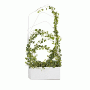 Séparateur d'espace végétal "GREEN" - Séparateur