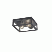 Plafonnier extérieur IP44 verre et métal anthracite - Trio - Garonne - gris 4017807442397