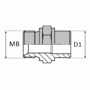 Adaptateur droit mâle BSP x extrémité à souder bout à bout non zingué - 1" , 33.24 , 32