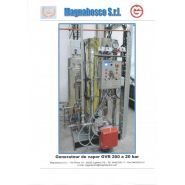 GVR - Générateur de vapeur Magnabosco - 20 bar avec brûleur, adoucisseur d'eau et réservoir de condensat_1