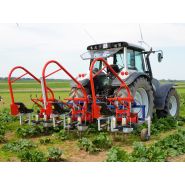 Bineuse sur le rang zuza 3 2 et 3 rangées  jagoda jps agromachines