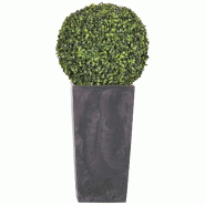 WellHome - Pot haut 35 L Urbi Square Effect coloris anthracite avec boule de buis 36cm - marron plastique PK3907