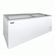 Congélateur de crème glacée - IDA600-W1 Tefcold - IDA600-W1