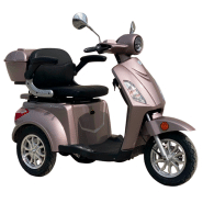 Scooter Électrique 3 roues e-trankily homologuÉ route
