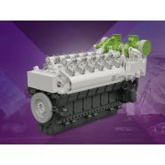 Vente moteur thermique naval