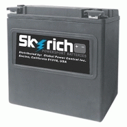 Skyrich batterie au lithium-ion super performance hjvt-2-fpp - kimpex