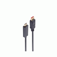 Shiverpeaks Câble BASIC-S DisplayPort - HDMI 1.4, 1,0 m - noir 4017538100511
