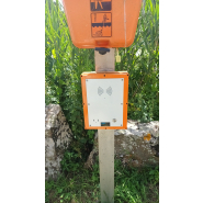 Borne d'appel d'urgence - CELINE