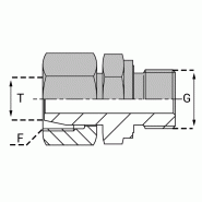 Adaptateurs Pré-serti BSP (Whitworth) - Cylindrique - FTCY 06L/1/8 JE - Avec joint élastomère encastré_0