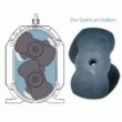 Lobes de pompe hydraulique - optimum