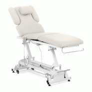Helloshop26 - Table de massage 3 moteurs 250 kg beige 14_0007759 - beige métal 3001329799788