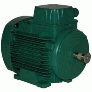 Moteur électrique ls 71 0.37/4-xnw Moteur électrique ls 71 0.37/4-xnw