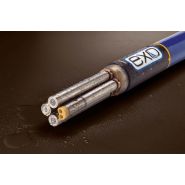 Sonde multiparamètre compacte ExO-1 - autonome, enregistreuse, capteurs numériques interchangeables